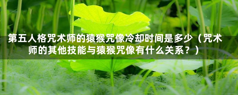 第五人格咒术师的猿猴咒像冷却时间是多少(咒术师的其他技能与猿猴咒像有什么关系?)