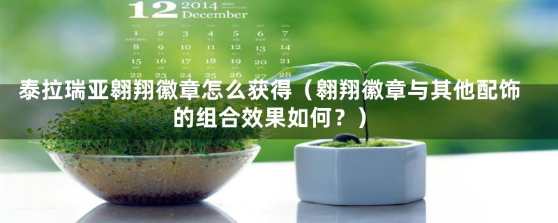 泰拉瑞亚翱翔徽章怎么获得(翱翔徽章与其他配饰的组合效果如何?)