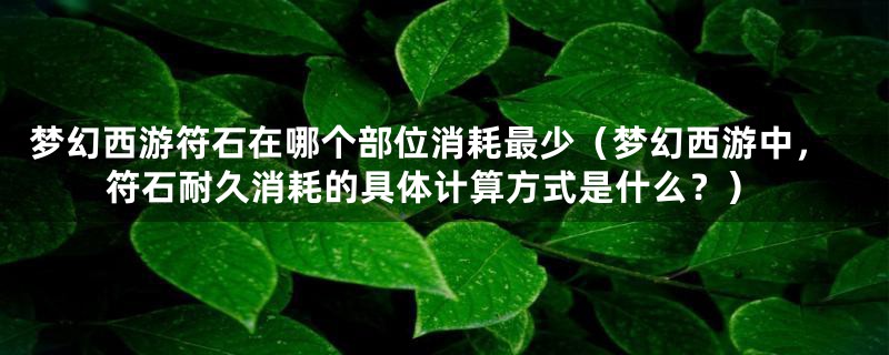梦幻西游符石在哪个部位消耗最少(梦幻西游中,符石耐久消耗的具体计算方式是什么?)
