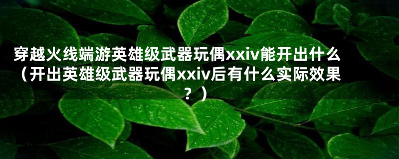 穿越火线端游英雄级武器玩偶xxiv能开出什么(开出英雄级武器玩偶xxiv后有什么实际效果?)