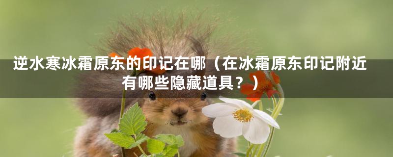 逆水寒冰霜原东的印记在哪(在冰霜原东印记附近有哪些隐藏道具?)