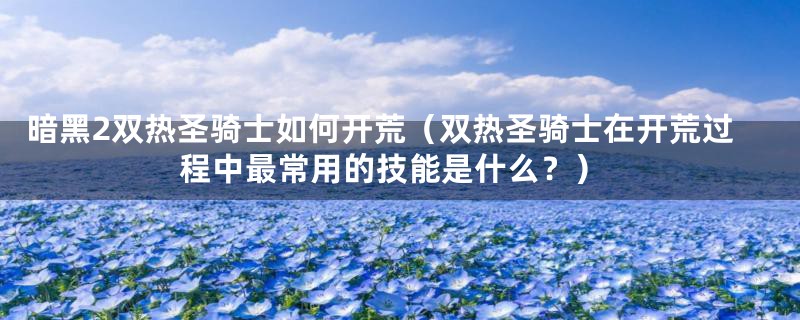 暗黑2双热圣骑士如何开荒(双热圣骑士在开荒过程中最常用的技能是什么?)