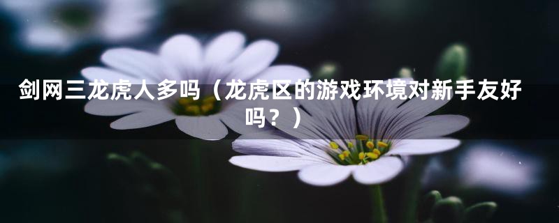 剑网三龙虎人多吗(龙虎区的游戏环境对新手友好吗?)