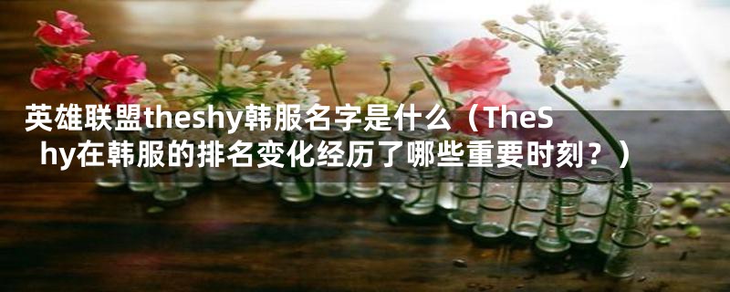 英雄联盟theshy韩服名字是什么(TheShy在韩服的排名变化经历了哪些重要时刻?)
