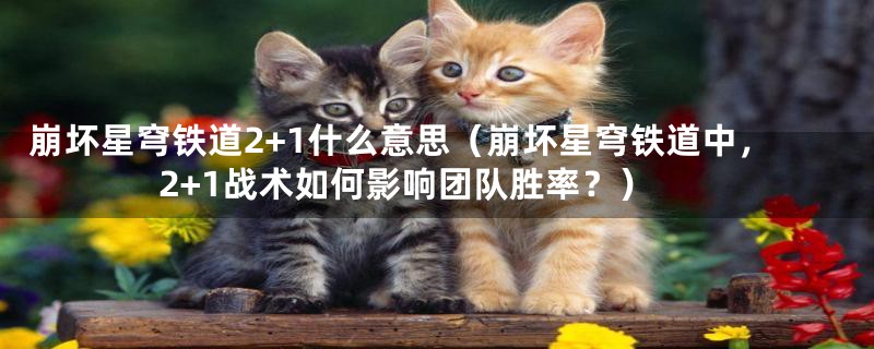 崩坏星穹铁道2+1什么意思（崩坏星穹铁道中，2+1战术如何影响团队胜率？）