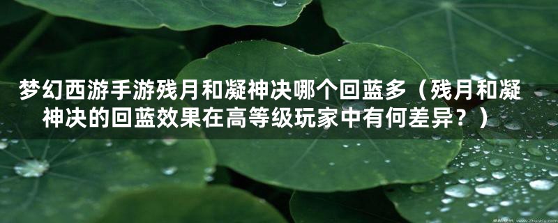 梦幻西游手游残月和凝神决哪个回蓝多（残月和凝神决的回蓝效果在高等级玩家中有何差异？）