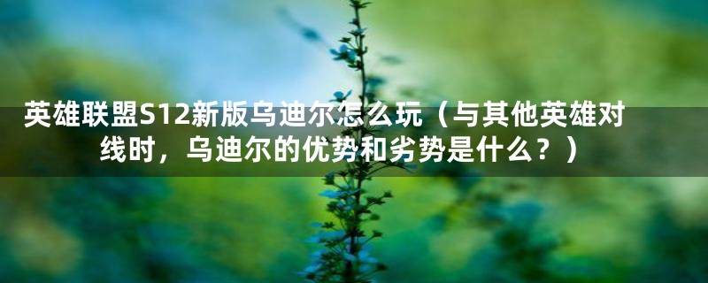 英雄联盟S12新版乌迪尔怎么玩(与其他英雄对线时,乌迪尔的优势和劣势是什么?)