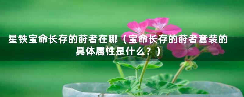 星铁宝命长存的莳者在哪（宝命长存的莳者套装的具体属性是什么？）