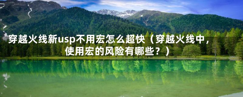 穿越火线新usp不用宏怎么超快(穿越火线中,使用宏的风险有哪些?)