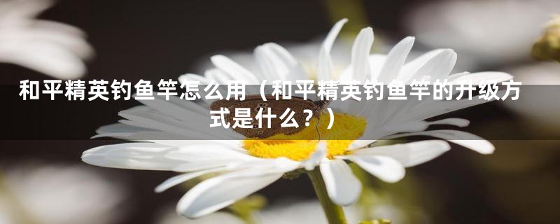 和平精英钓鱼竿怎么用(和平精英钓鱼竿的升级方式是什么?)