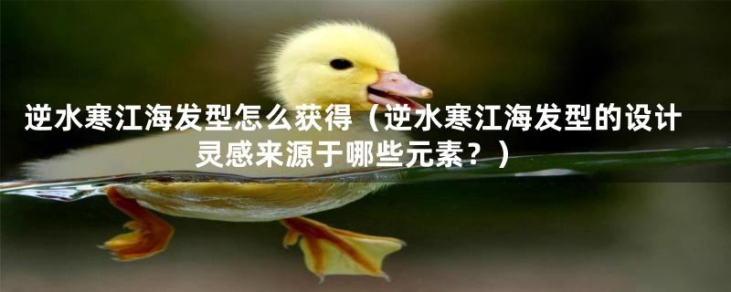 逆水寒江海发型怎么获得(逆水寒江海发型的设计灵感来源于哪些元素?)