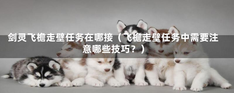 剑灵飞檐走壁任务在哪接(飞檐走壁任务中需要注意哪些技巧?)