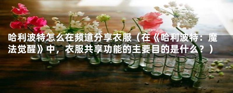 哈利波特怎么在频道分享衣服(在《哈利波特:魔法觉醒》中,衣服共享功能的主要目的是什么?)