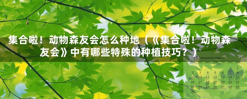 集合啦!动物森友会怎么种地(《集合啦!动物森友会》中有哪些特殊的种植技巧?)