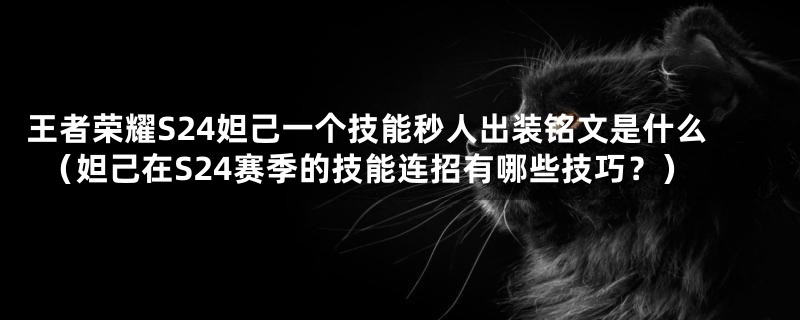 王者荣耀S24妲己一个技能秒人出装铭文是什么（妲己在S24赛季的技能连招有哪些技巧？）