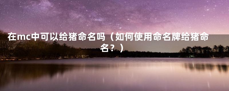 在mc中可以给猪命名吗（如何使用命名牌给猪命名？）