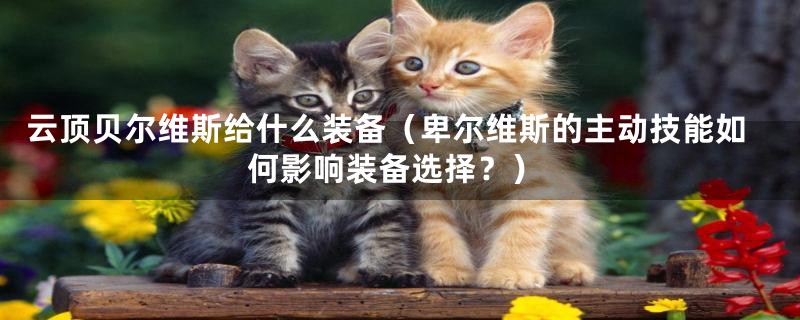 云顶贝尔维斯给什么装备(卑尔维斯的主动技能如何影响装备选择?)