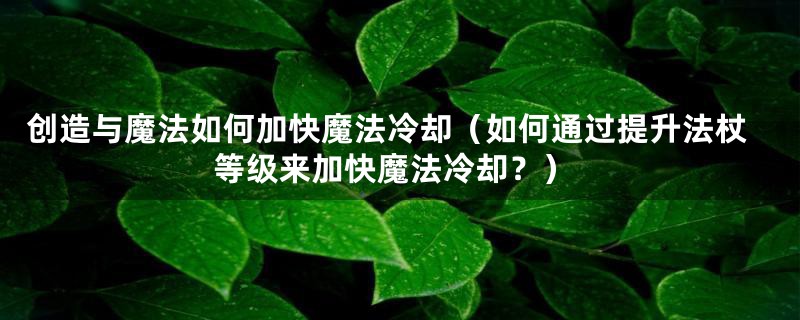 创造与魔法如何加快魔法冷却(如何通过提升法杖等级来加快魔法冷却?)
