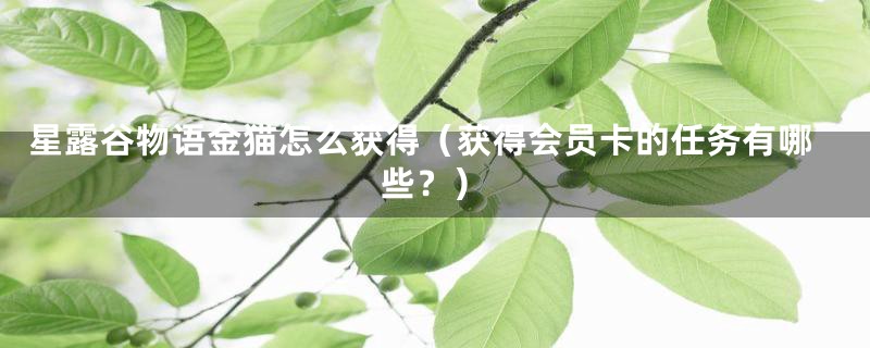 星露谷物语金猫怎么获得（获得会员卡的任务有哪些？）