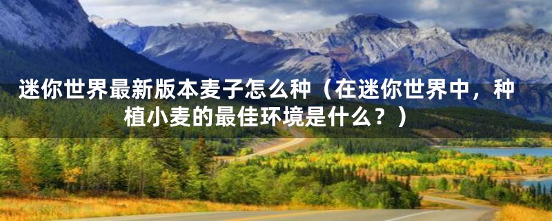 迷你世界最新版本麦子怎么种(在迷你世界中,种植小麦的最佳环境是什么?)