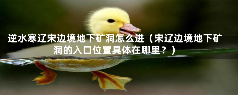 逆水寒辽宋边境地下矿洞怎么进(宋辽边境地下矿洞的入口位置具体在哪里?)