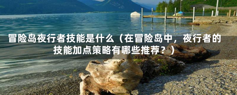 冒险岛夜行者技能是什么（在冒险岛中，夜行者的技能加点策略有哪些推荐？）