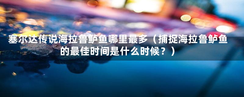 塞尔达传说海拉鲁鲈鱼哪里最多(捕捉海拉鲁鲈鱼的最佳时间是什么时候?)