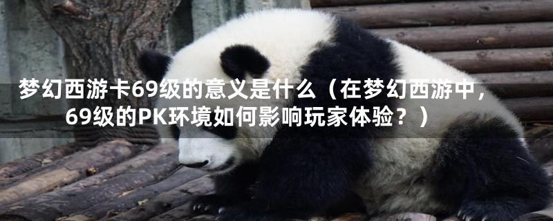 梦幻西游卡69级的意义是什么(在梦幻西游中,69级的PK环境如何影响玩家体验?)
