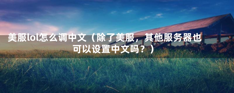 美服lol怎么调中文(除了美服,其他服务器也可以设置中文吗?)