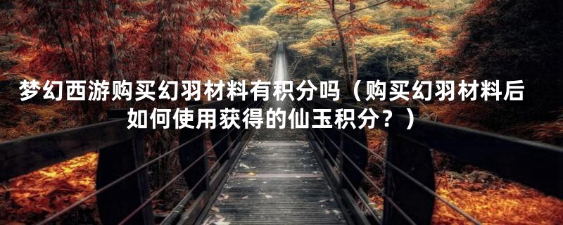 梦幻西游购买幻羽材料有积分吗(购买幻羽材料后如何使用获得的仙玉积分?)