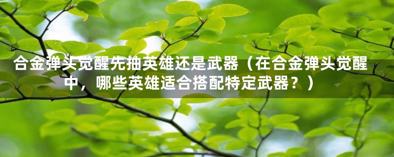 合金弹头觉醒先抽英雄还是武器（在合金弹头觉醒中，哪些英雄适合搭配特定武器？）