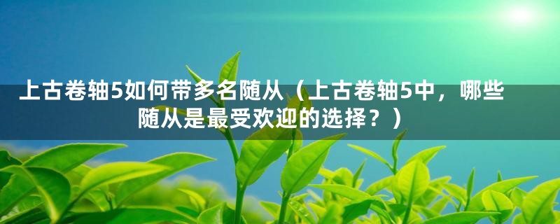 上古卷轴5如何带多名随从(上古卷轴5中,哪些随从是最受欢迎的选择?)