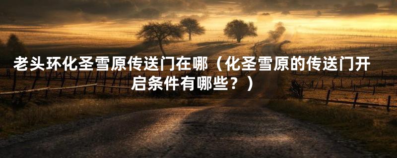 老头环化圣雪原传送门在哪(化圣雪原的传送门开启条件有哪些?)