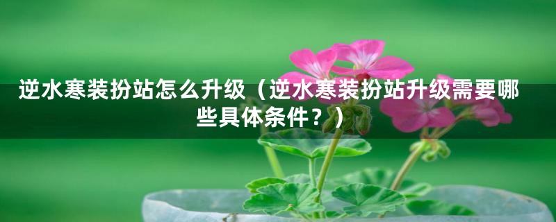 逆水寒装扮站怎么升级(逆水寒装扮站升级需要哪些具体条件?)