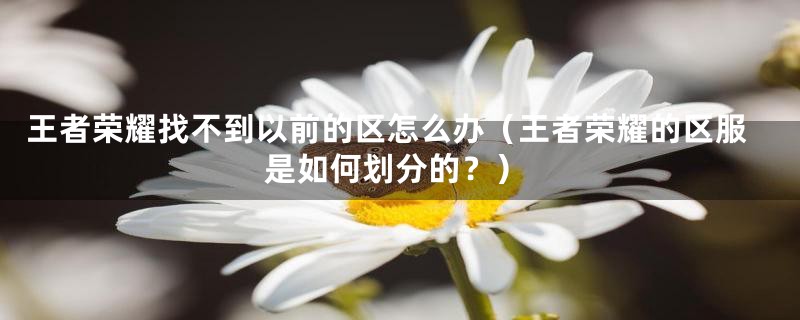 王者荣耀找不到以前的区怎么办(王者荣耀的区服是如何划分的?)