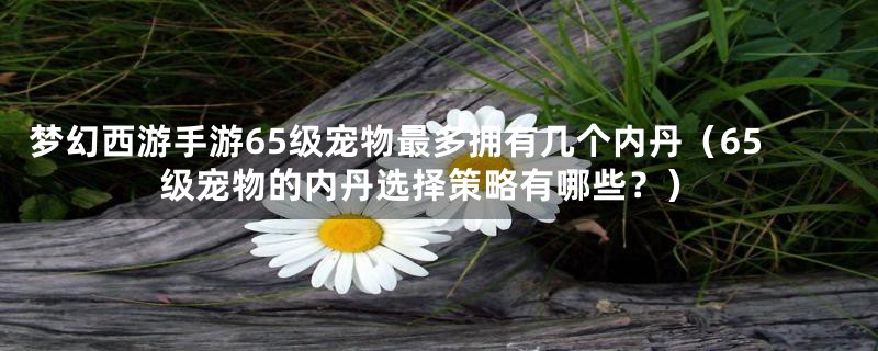 梦幻西游手游65级宠物最多拥有几个内丹(65级宠物的内丹选择策略有哪些?)