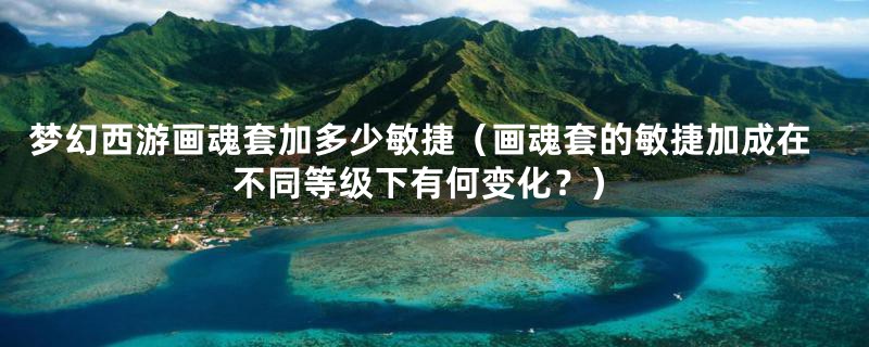 梦幻西游画魂套加多少敏捷(画魂套的敏捷加成在不同等级下有何变化?)