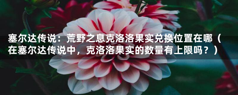 塞尔达传说：荒野之息克洛洛果实兑换位置在哪（在塞尔达传说中，克洛洛果实的数量有上限吗？）