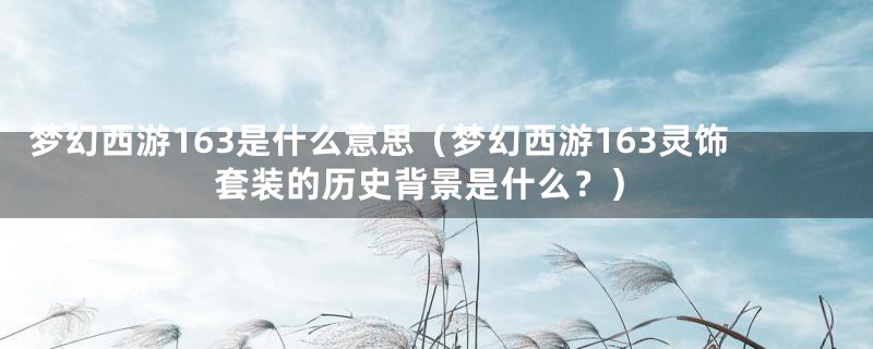 梦幻西游163是什么意思(梦幻西游163灵饰套装的历史背景是什么?)