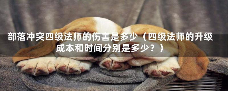 部落冲突四级法师的伤害是多少(四级法师的升级成本和时间分别是多少?)