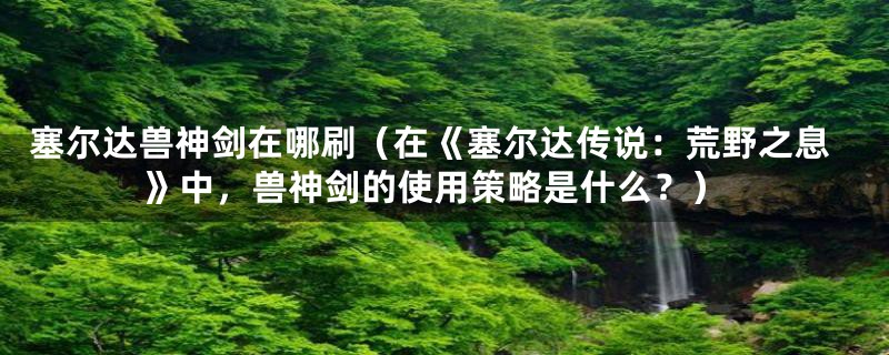 塞尔达兽神剑在哪刷（在《塞尔达传说：荒野之息》中，兽神剑的使用策略是什么？）