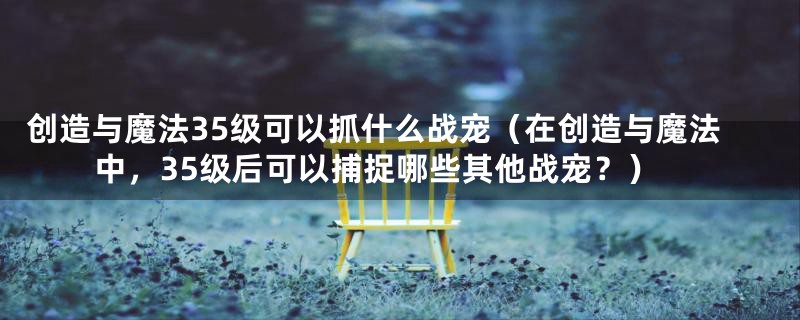 创造与魔法35级可以抓什么战宠(在创造与魔法中,35级后可以捕捉哪些其他战宠?)