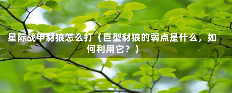 星际战甲豺狼怎么打(巨型豺狼的弱点是什么,如何利用它?)