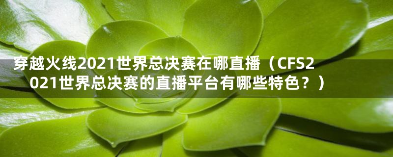 穿越火线2021世界总决赛在哪直播(CFS2021世界总决赛的直播平台有哪些特色?)