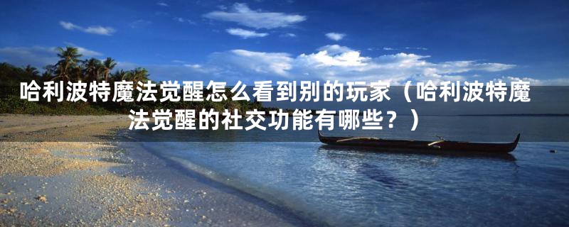 哈利波特魔法觉醒怎么看到别的玩家(哈利波特魔法觉醒的社交功能有哪些?)