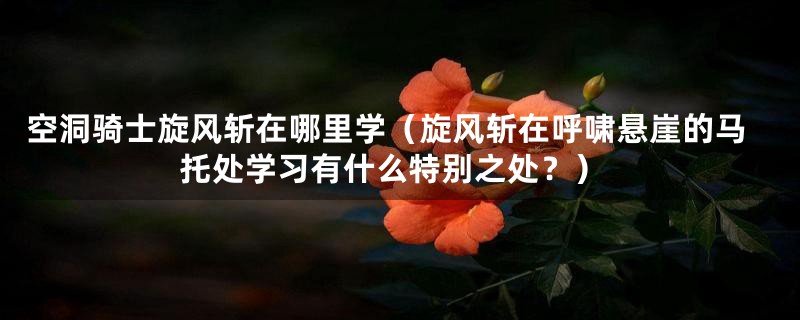 空洞骑士旋风斩在哪里学(旋风斩在呼啸悬崖的马托处学习有什么特别之处?)