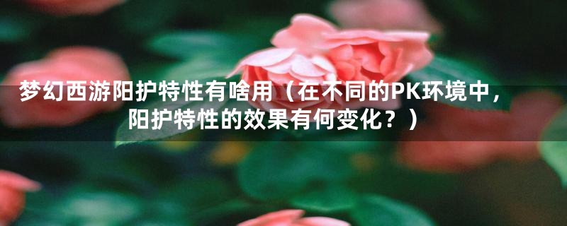 梦幻西游阳护特性有啥用(在不同的PK环境中,阳护特性的效果有何变化?)