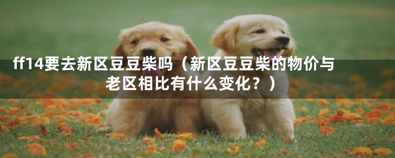 ff14要去新区豆豆柴吗(新区豆豆柴的物价与老区相比有什么变化?)
