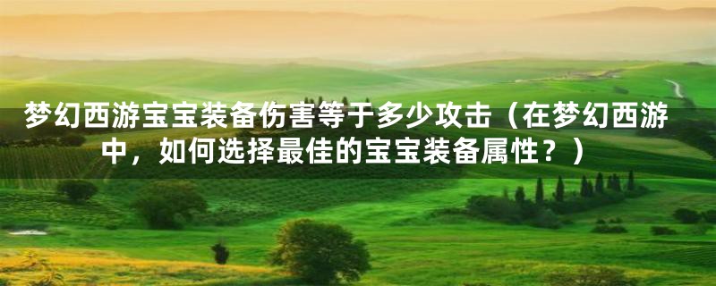 梦幻西游宝宝装备伤害等于多少攻击（在梦幻西游中，如何选择最佳的宝宝装备属性？）