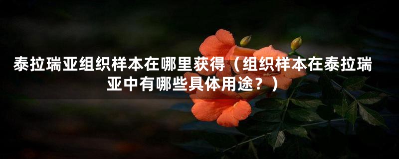 泰拉瑞亚组织样本在哪里获得(组织样本在泰拉瑞亚中有哪些具体用途?)